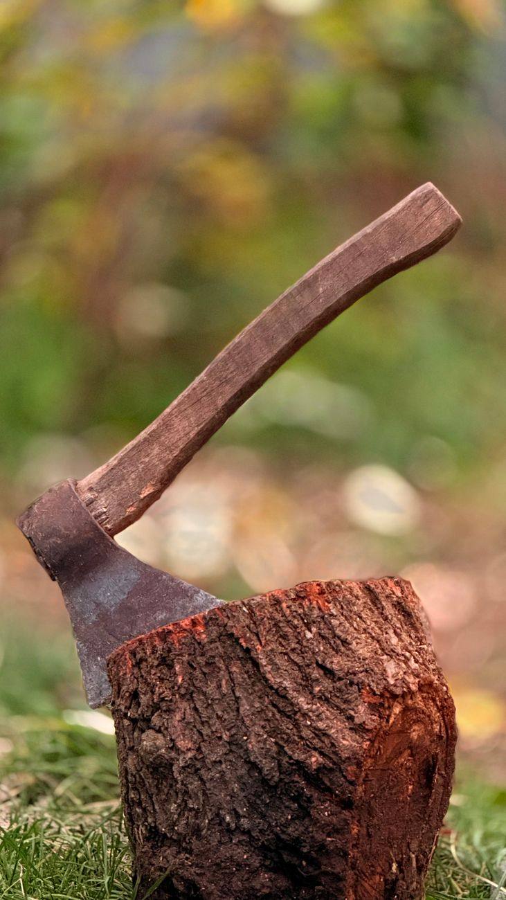 Old stump ready for grinding in a Gaffney yard